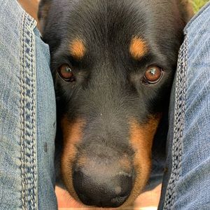 Meet your Posher, Christine